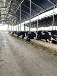 Empresa Constructora para Campos y Tambos: Qué Evaluar Antes de Firmar un Contrato