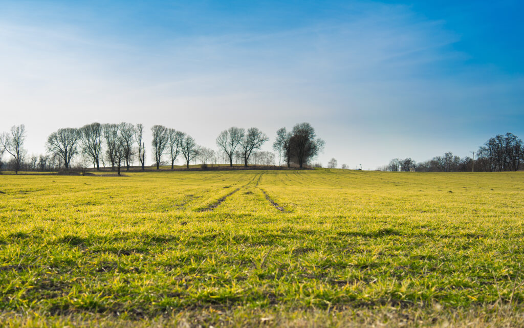 Movimiento de Suelos en el Campo: La Base Fundamental de Toda Construcción Ganadera