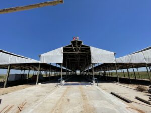¿Cómo Elegir a la Mejor Constructora de Infraestructura Ganadera en Argentina?